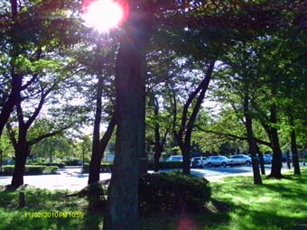 a0136261_1946860.jpg