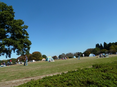 d0082763_2072439.jpg