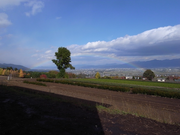 c0166668_0143932.jpg