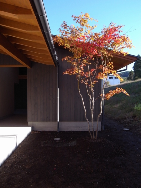 c0166668_2263841.jpg