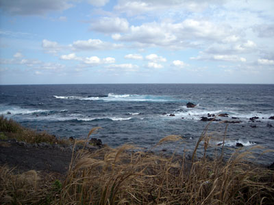 e0097770_22384087.jpg