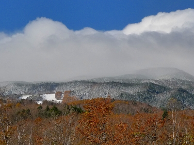 f0182173_117551.jpg