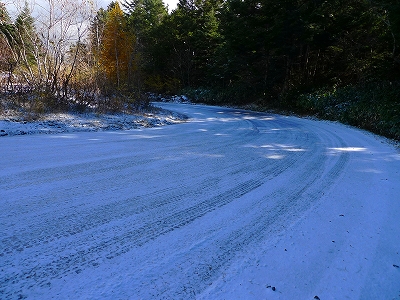 f0182173_1181632.jpg