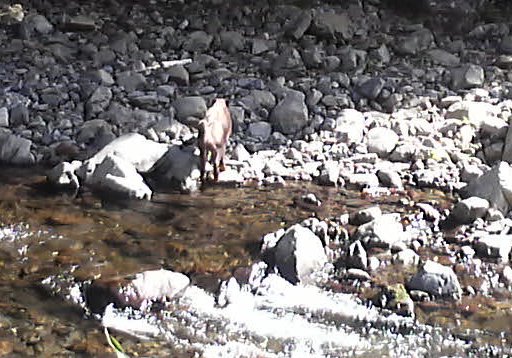 b0205079_23524197.jpg