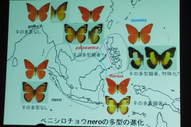 f0090680_23142972.jpg