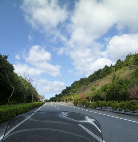 d0179983_21412444.jpg