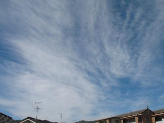 e0130185_16476.jpg