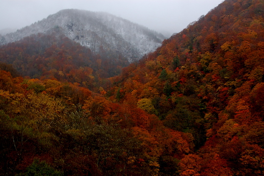 b0203588_18384324.jpg