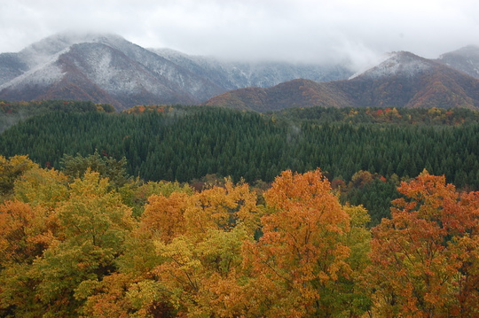 b0203588_18392530.jpg