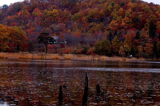 b0203588_18411294.jpg