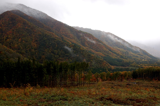 b0203588_18425681.jpg