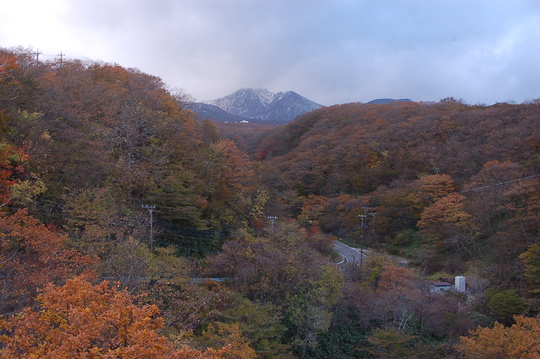 b0203588_1853192.jpg