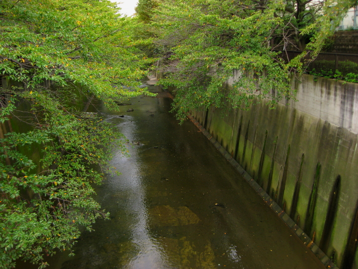 f0164989_642428.jpg