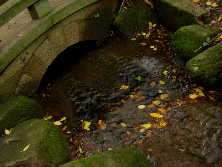 f0164989_64557.jpg
