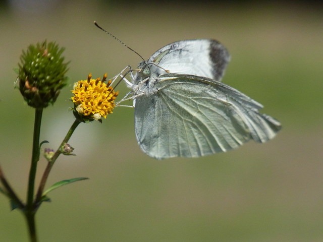 b0194593_21555433.jpg