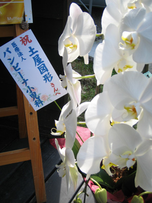 b0007895_858566.jpg