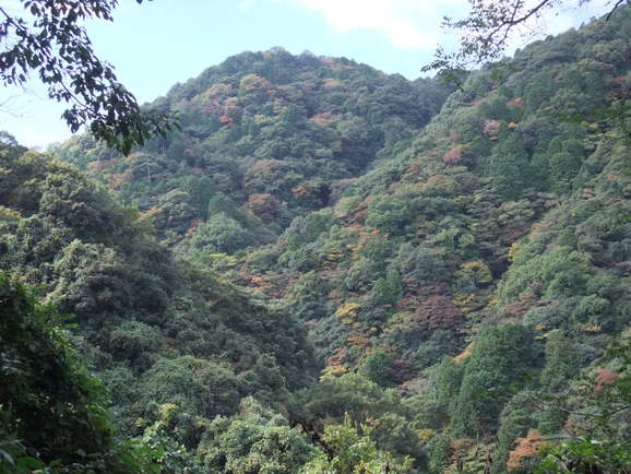 b0044296_20271596.jpg