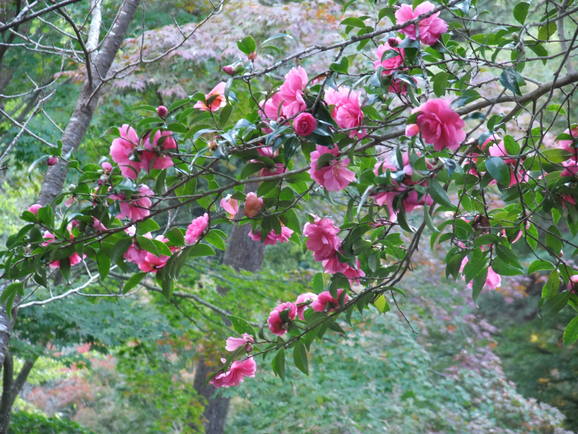 b0044296_20393465.jpg