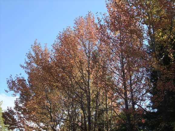 b0044296_2042277.jpg