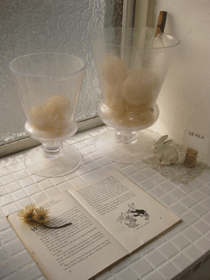 c0128402_102873.gif