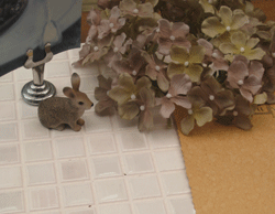 c0128402_10295496.gif