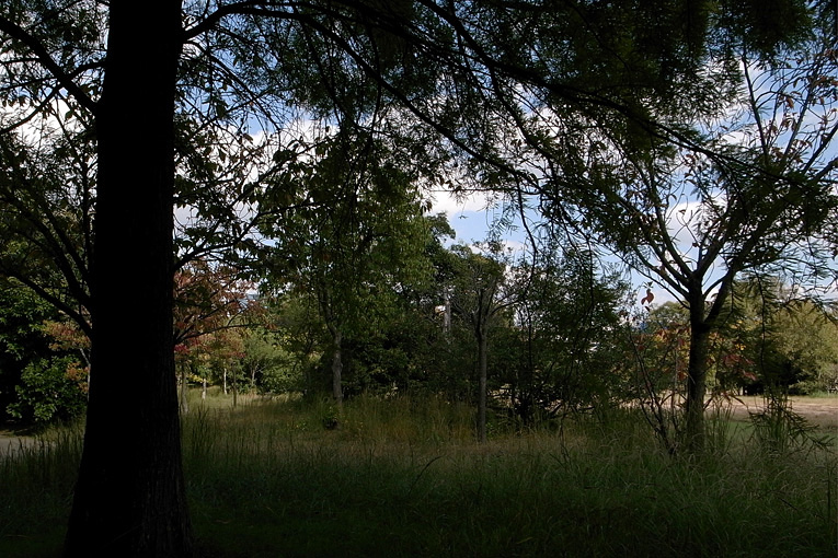c0102003_125224.jpg