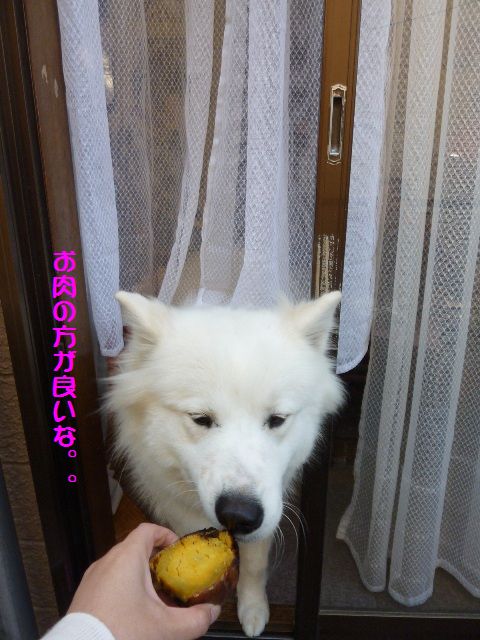 e0018604_14452097.jpg