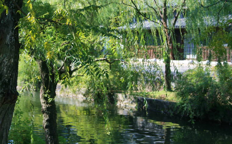 f0031304_685213.jpg