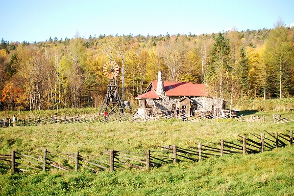 d0089706_21535325.jpg