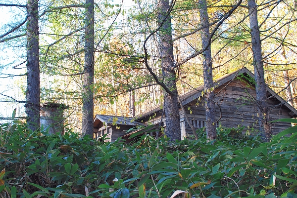 d0089706_2227854.jpg