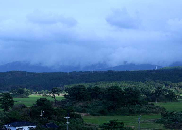 d0140806_144195.jpg