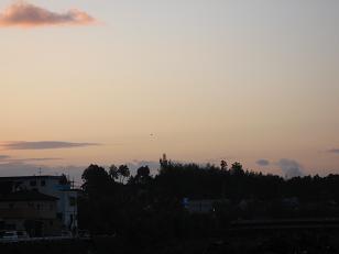 c0098807_1483299.jpg