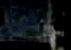 e0103408_13364252.gif
