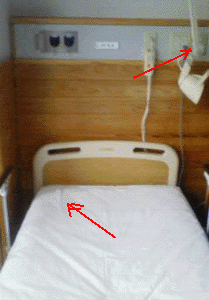 e0103408_1347171.gif