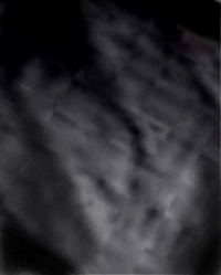e0103408_1347214.gif