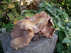 c0190010_20465125.jpg