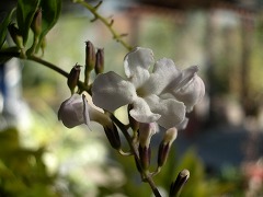 c0190010_20515534.jpg