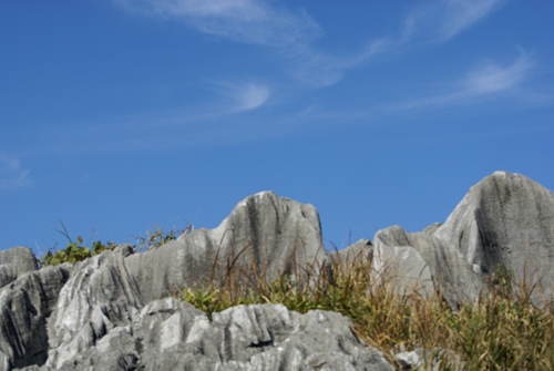 c0042418_9381971.jpg