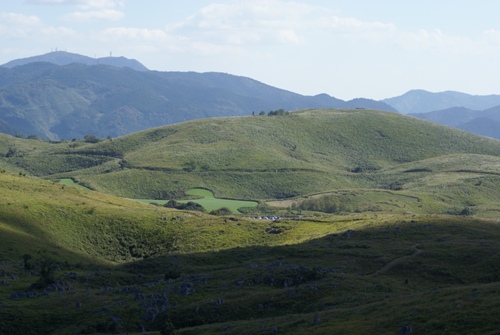 c0042418_9392042.jpg