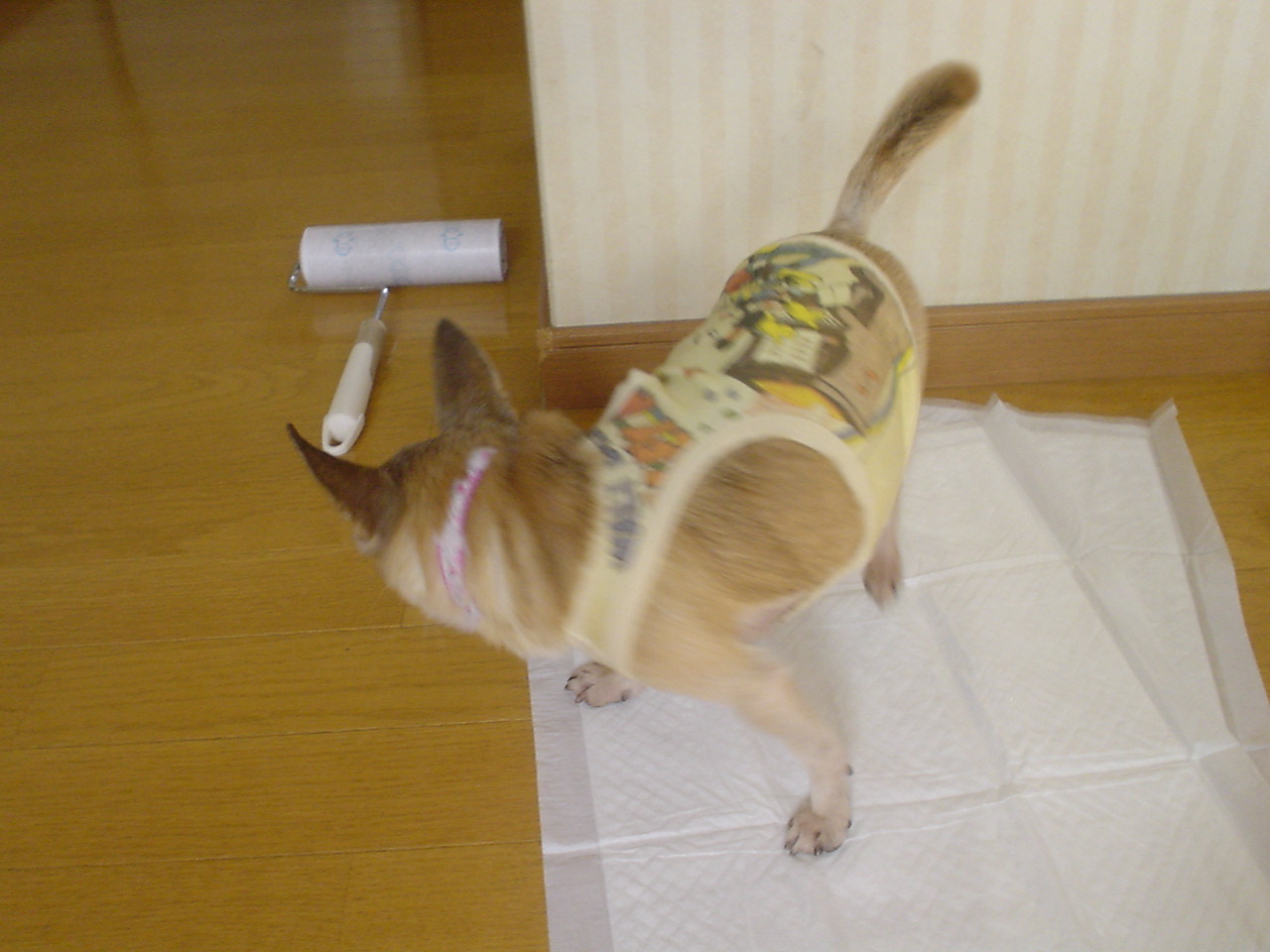 c0150520_20301440.jpg