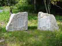 e0083820_21551256.jpg