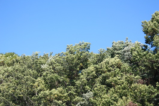c0141025_22133659.jpg