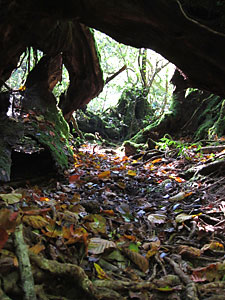 d0023725_19195475.jpg