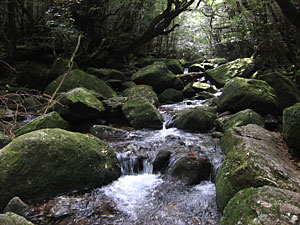 d0023725_19195678.jpg