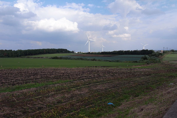 f0007926_115212.jpg