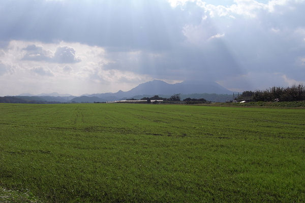 f0007926_1152563.jpg