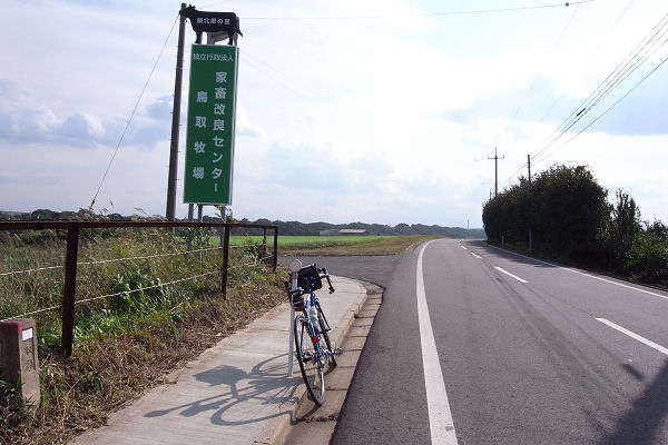 f0007926_1152722.jpg