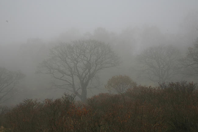 f0017530_20283199.jpg