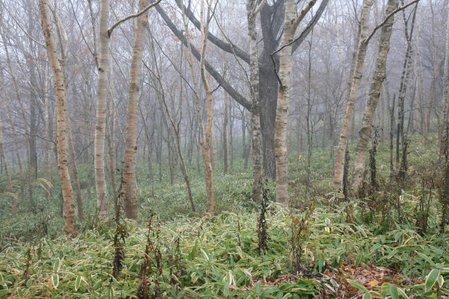 f0017530_20295119.jpg