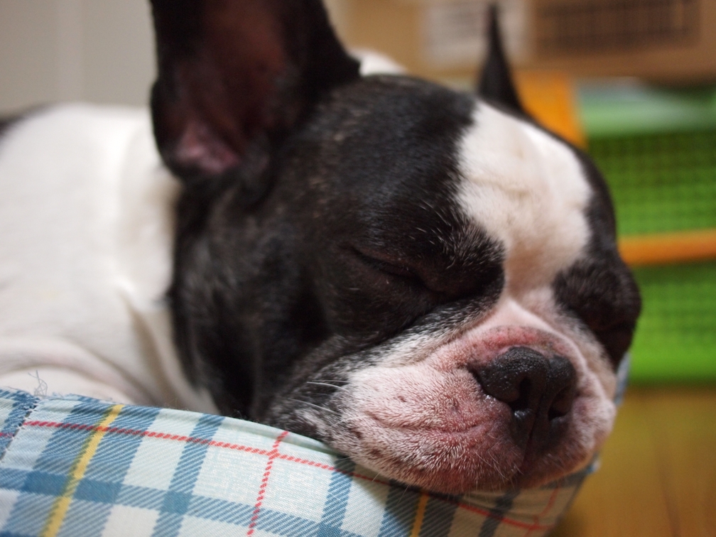 b0201233_17411538.jpg